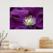 Poster Amethyst Clematis (Cuisine)