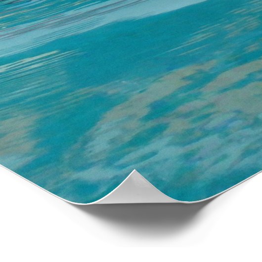 Poster Ami dauphin (Coin)