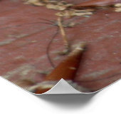 Poster Ami ou grenouille (Coin)