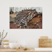 Poster Ami ou grenouille (Cuisine)