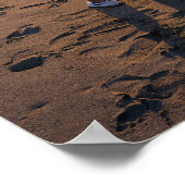 POSTER AMI SPÉCIAL (Coin)