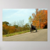 Poster Amich Buggy Print (Devant)