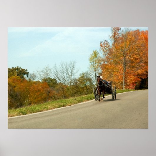 Poster Amich Buggy Print (Devant)