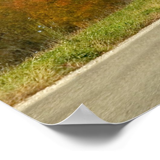 Poster Amich Buggy Print (Coin)