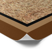 Poster Amigos (Coin)