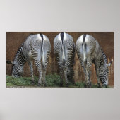 Poster Amis (Devant)