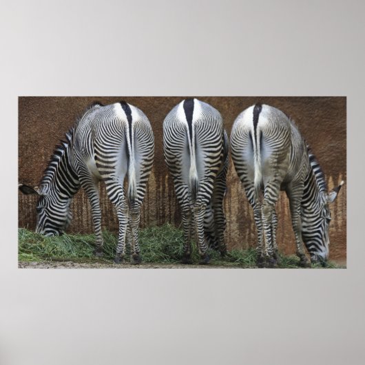 Poster Amis (Devant)