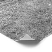 Poster "Amis" (Coin)