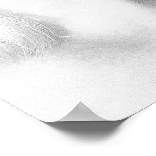 Poster Amis 2 (Coin)