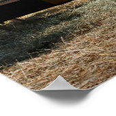 Poster Amis des animaux de ferme (Coin)