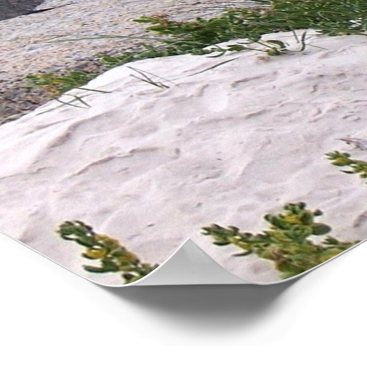 Poster Amis des pingouins (Coin)