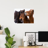 Poster Amis islandais du cheval, Islande (Bureau à domicile)