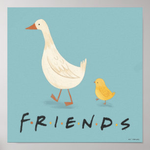 Poster AMIS™   Le poussin et le canard