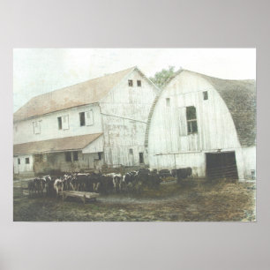 Poster Amish