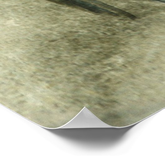 Poster Amish Buggy (Coin)