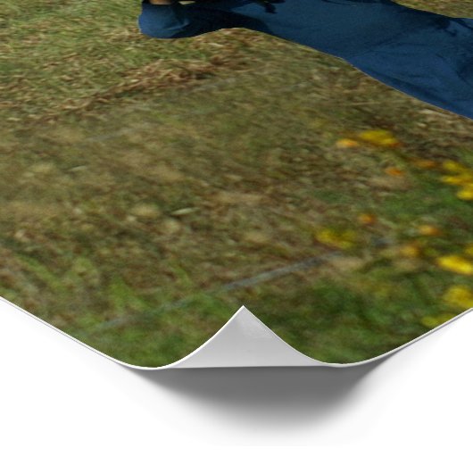 Poster Amish Farm Life (Coin)