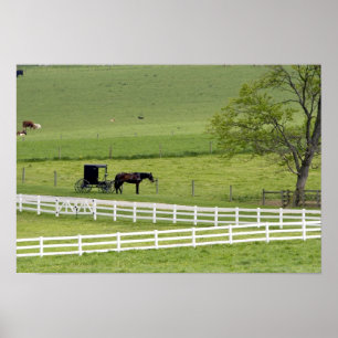 Poster Amish farm with horse and buggy near Berlin,