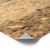 Poster Amish Pays simples gens dans l'agriculture avec (Coin)