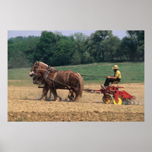Poster Amish Pays simples gens dans l'agriculture avec (Devant)