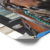 Poster Amish Smile (Coin)