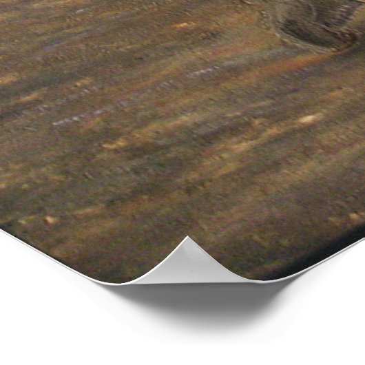 Poster Amitié fluviale (Coin)