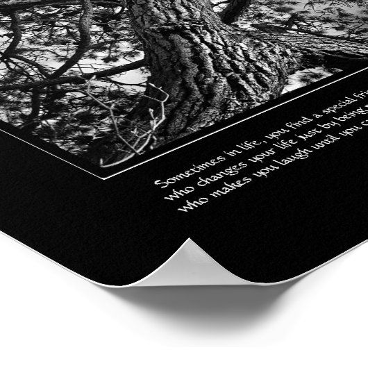 Poster Amitié pour toujours, Pin canadien, Art (Coin)