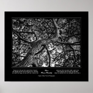 Poster Amitié pour toujours, Pin canadien, Art