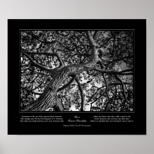 Poster Amitié pour toujours, Pin canadien, Art (Devant)