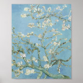 Poster Ammond Blossoms Vincent Van Gogh (Devant)