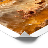 Poster Ammonite Fossil Close-Up Print Ancient Marine Art (Coin)