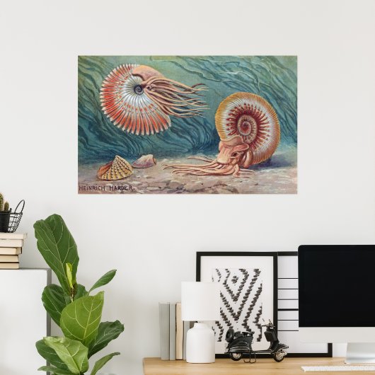 Poster Ammonites (Bureau à domicile)