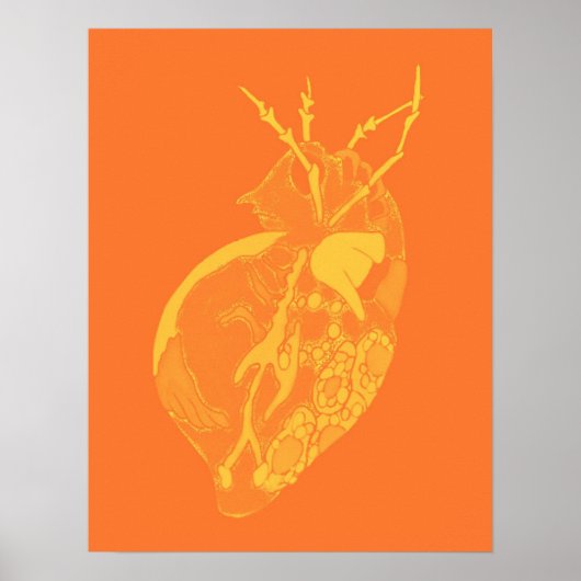 Poster Amoeba Minx : Peau Tangerine (Devant)