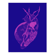 Amoeba Minx : Pétales d'orchidées