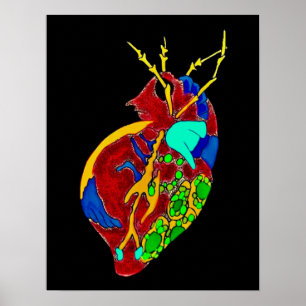 Poster Amoeba Minx : Toutes les fissures