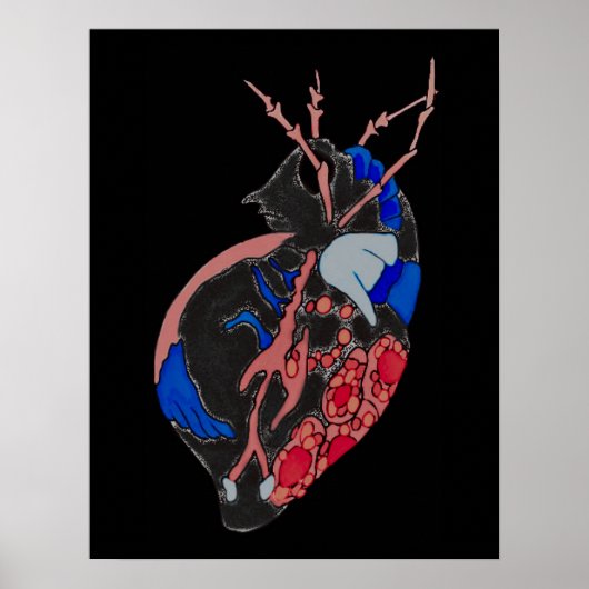 Poster Amoeba Minx : Veines et bateaux (Devant)