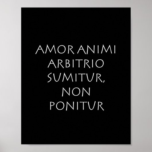 Poster Amor (Devant)