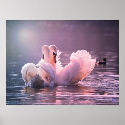 Poster Amour (Devant)