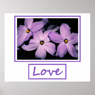 Poster Amour
