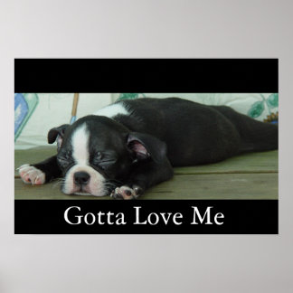 Poster Amour De Boston
