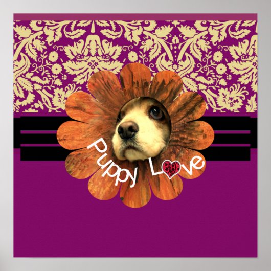 Poster Amour de chiot (Devant)