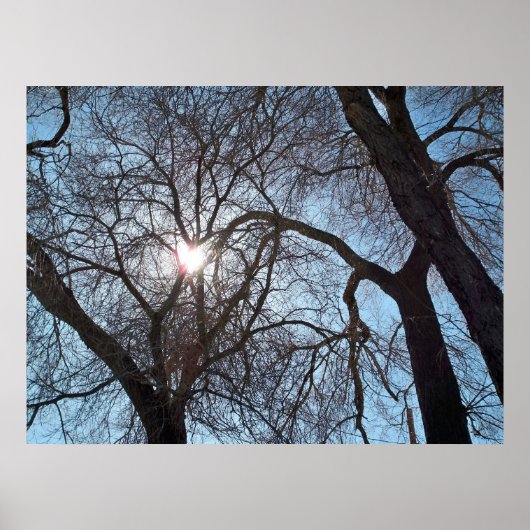 Poster Amour de la nature (Devant)