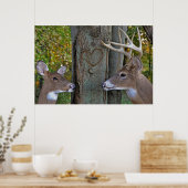 Poster Amour de la vie sauvage (Cuisine)