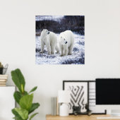 Poster Amour de l'ours polaire (Bureau à domicile)