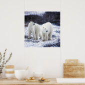 Poster Amour de l'ours polaire (Cuisine)