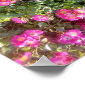 Poster Amour de rose (Coin)