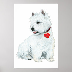Poster Amour de Westie