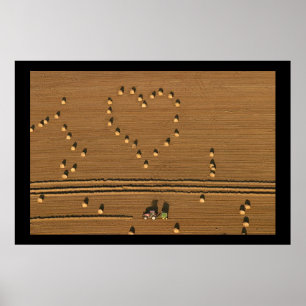 Poster Amour d'été