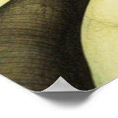 Poster Amour d'oiseau 1 (Coin)