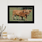 Poster Amour d'une mère, vache léchant son veau (Cuisine)