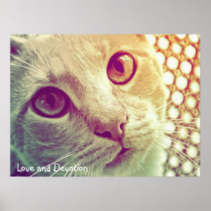 Poster Amour et Dévotion